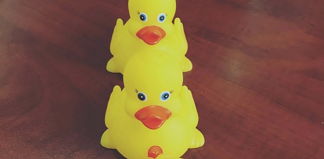 charity rubber ducks